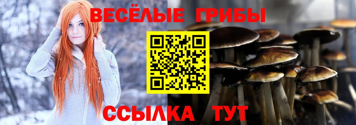 Топки  Галлюциногенные грибы ЛСД  Псилоцибиновые грибы Magic Shrooms  Вход с VPN 